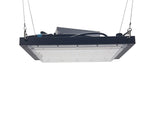 Quantum Gro-Board - 320 - HRX Set's