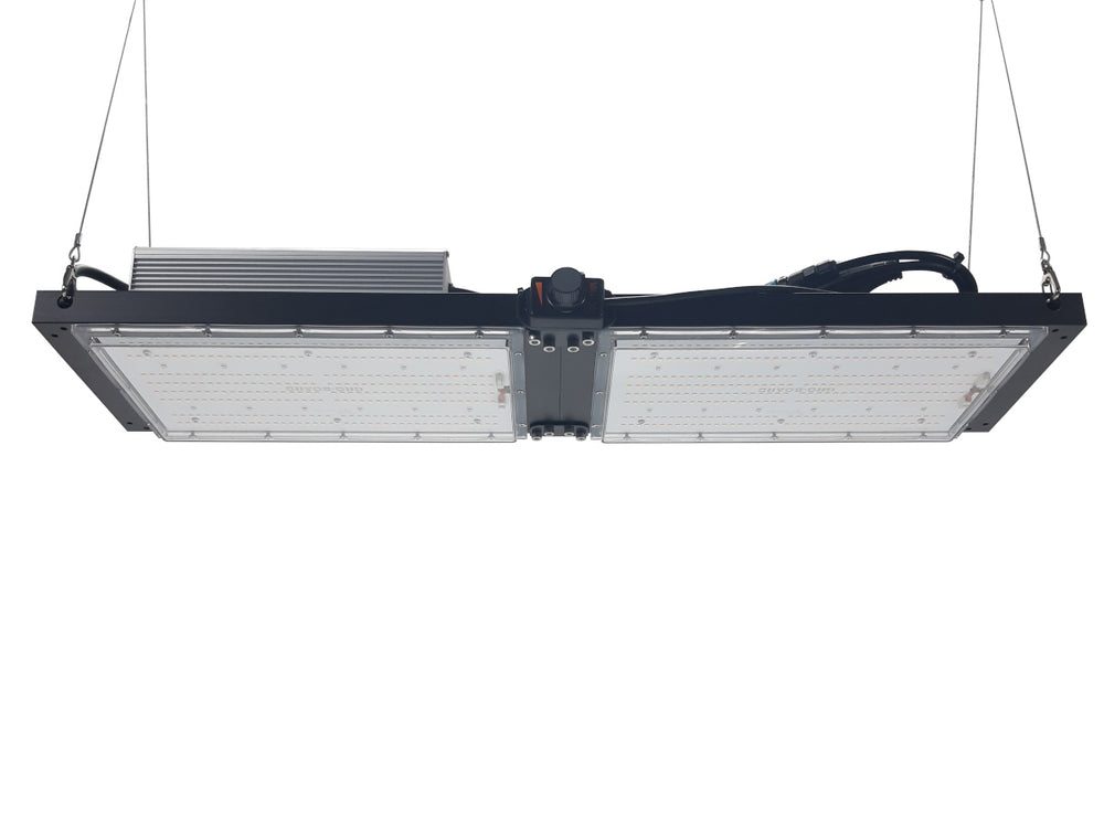 Quantum Gro-Board - 320 - HRX Set's