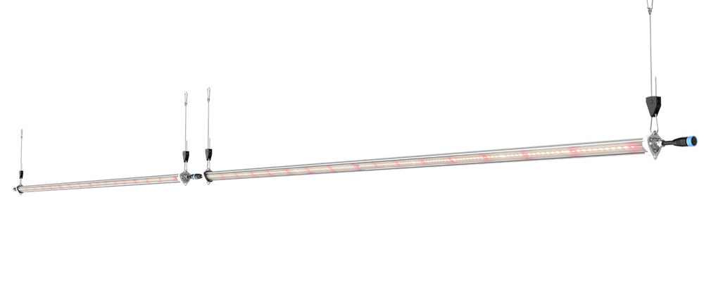 Gro-Pipe Rizon