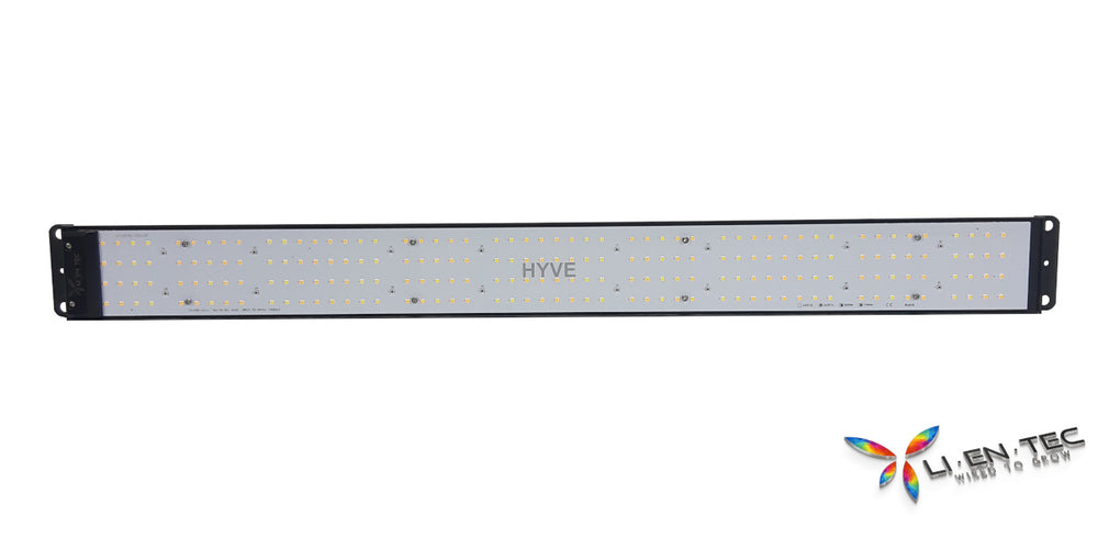 HYVE-100 Basic