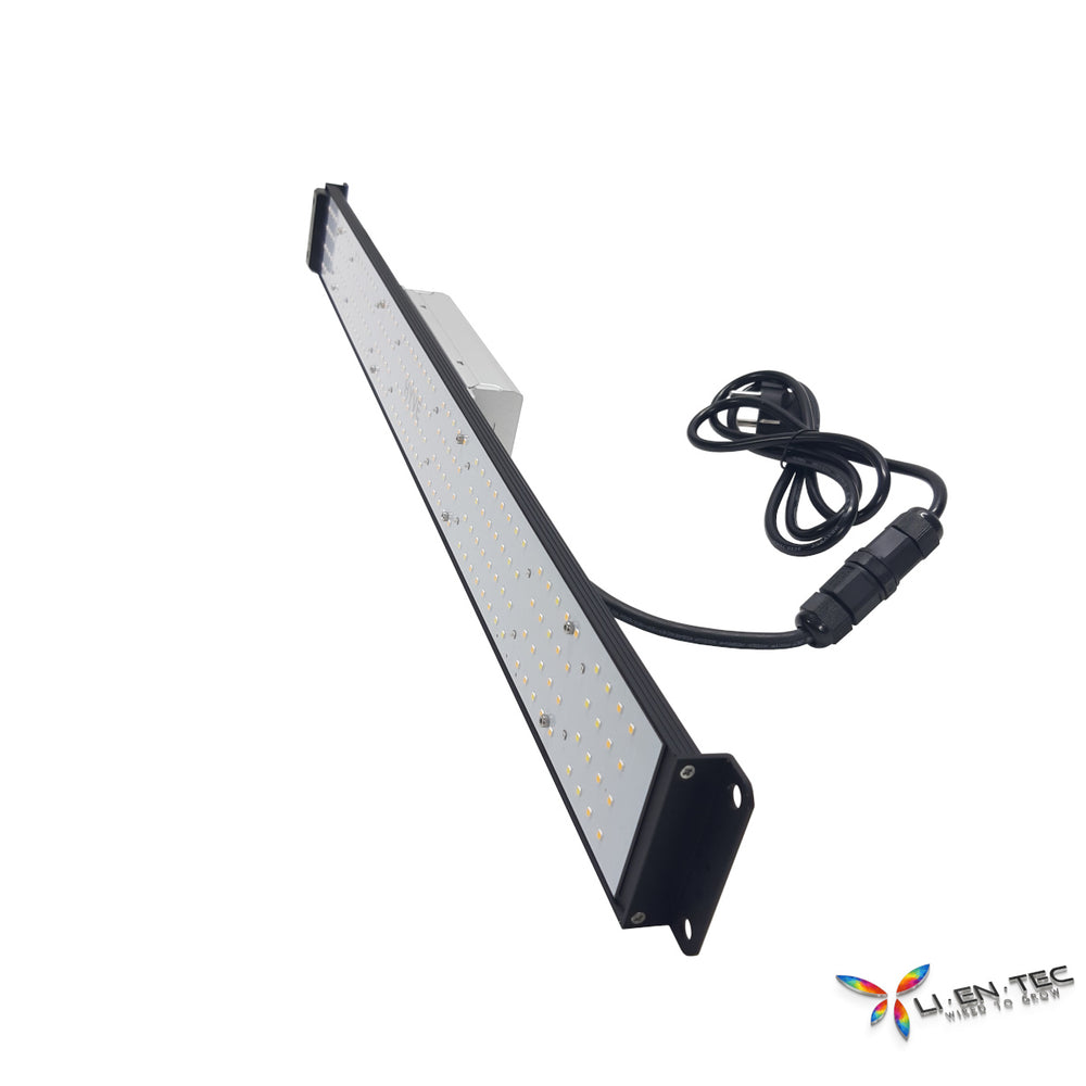 HYVE-100