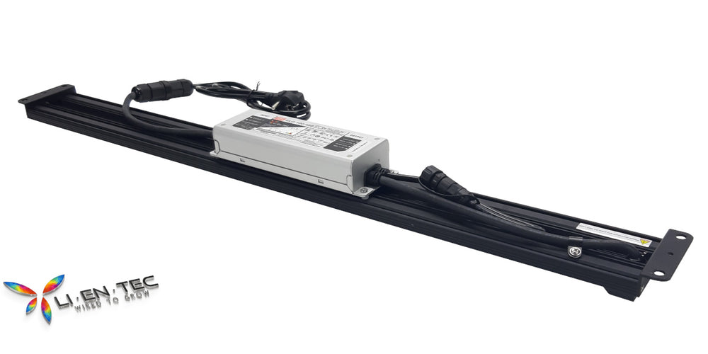 HYVE-100