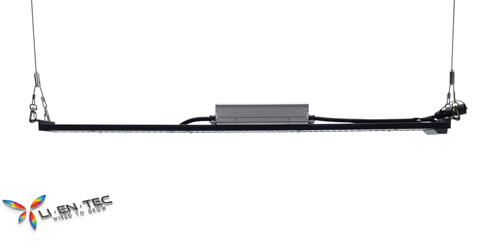 HYVE-100