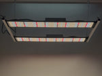 HYVE-100 Basic Double