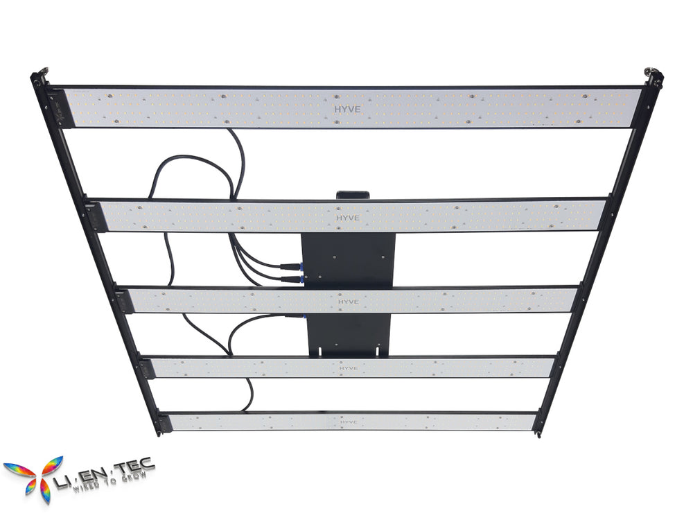 HYVE-600 Basic