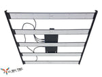 HYVE-600 Basic