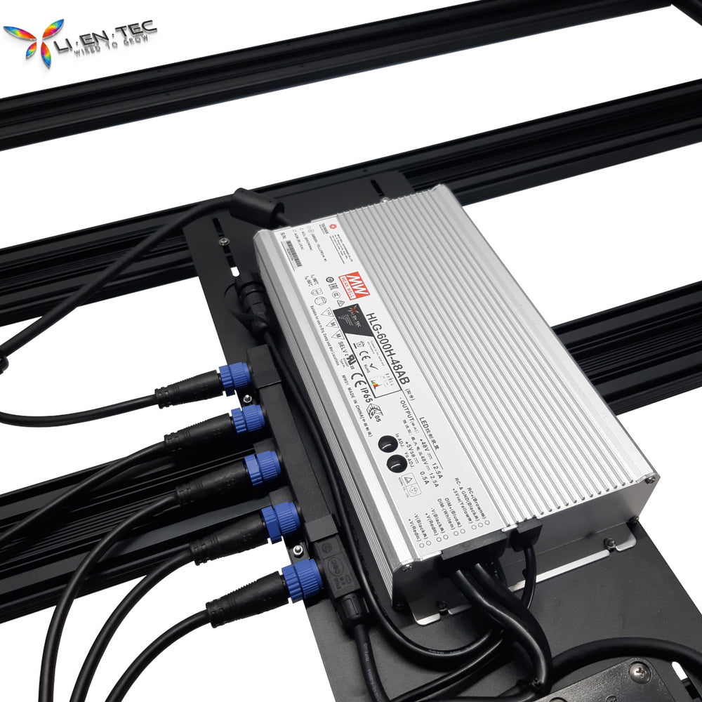HYVE-600