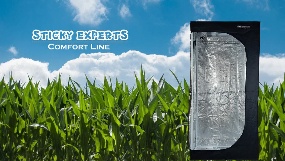 Sticky Experts - Comfort Line - 100*50*200cm